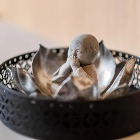 Lägenhet Myflat Club 218 Premium Wellness Siófok